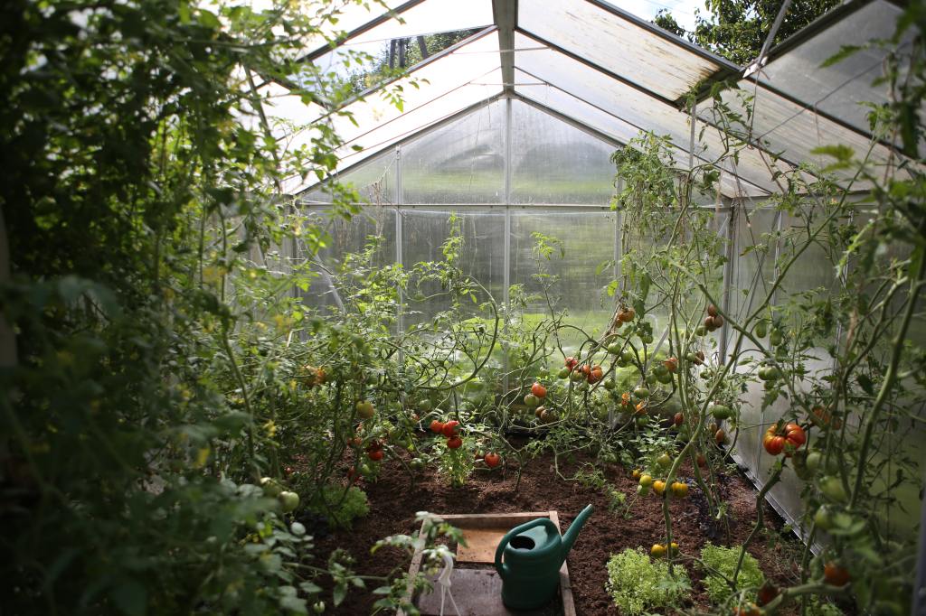 #17 – The Ultimate Guide To Greenhouse Growing With Godfried Dol & Glasshouse Consultancy